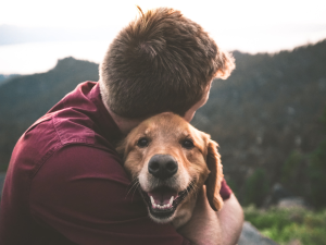 Les effets thérapeutiques des animaux de compagnie
