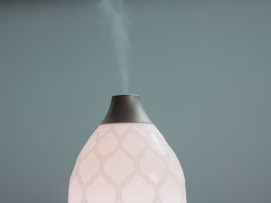 Les huiles essentielles par voie aérienne : quel choix de diffuseur ?