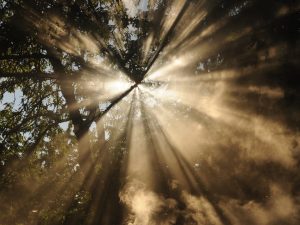 Focus sur la luminothérapie