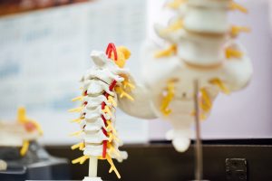Problèmes dorsaux liés à la sédentarité, comment les limiter ?