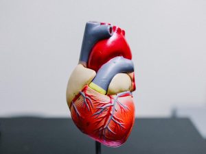 Comment baisser naturellement son rythme cardiaque ?